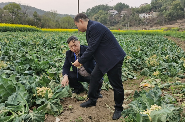 微信图片_20230324155317.png