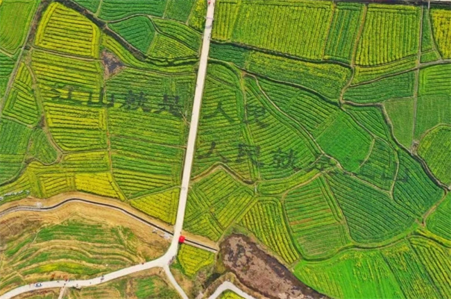 微信截图_20240708110439.jpg